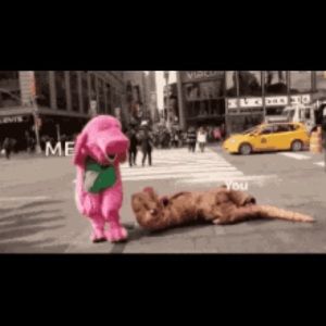 Meet your Posher, Abigail